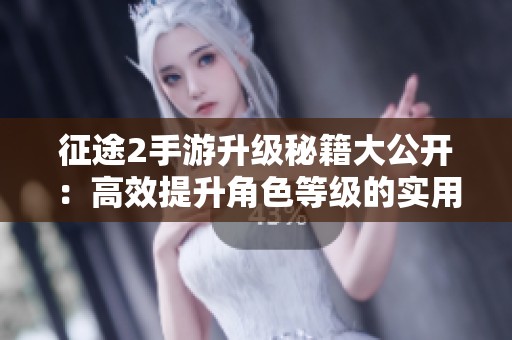 征途2手游升级秘籍大公开：高效提升角色等级的实用技巧与经验分享