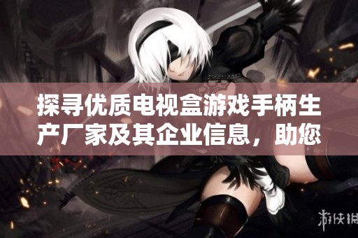 探寻优质电视盒游戏手柄生产厂家及其企业信息，助您选择理想的游戏配件供应商