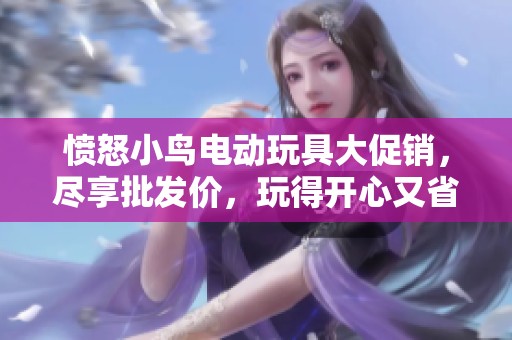 愤怒小鸟电动玩具大促销，尽享批发价，玩得开心又省钱的完美选择！
