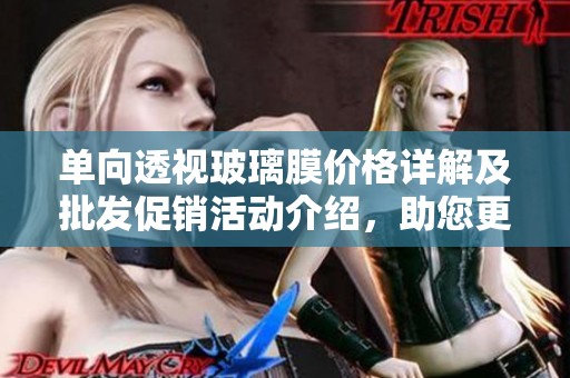 单向透视玻璃膜价格详解及批发促销活动介绍，助您更好采购与选择