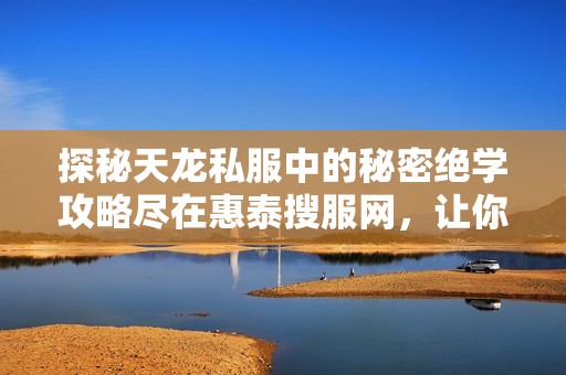 探秘天龙私服中的秘密绝学攻略尽在惠泰搜服网，让你成为游戏高手！