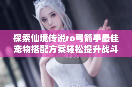 探索仙境传说ro弓箭手最佳宠物搭配方案轻松提升战斗力全攻略
