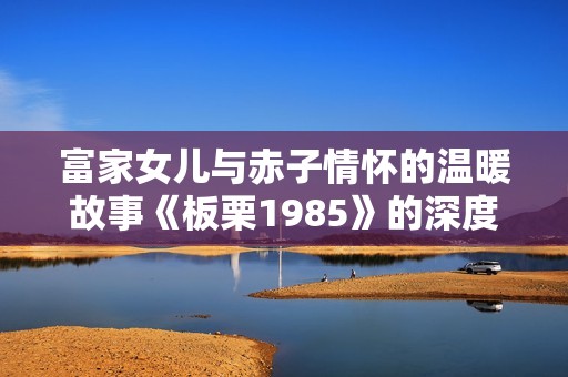 富家女儿与赤子情怀的温暖故事《板栗1985》的深度剖析与精彩回顾