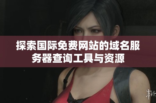 探索国际免费网站的域名服务器查询工具与资源