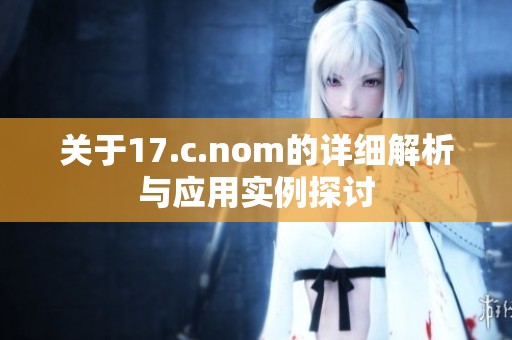 关于17.c.nom的详细解析与应用实例探讨