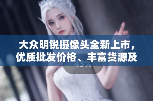 大众明锐摄像头全新上市，优质批发价格、丰富货源及促销活动等你来享受！