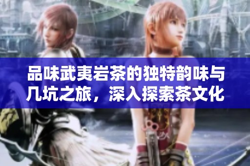 品味武夷岩茶的独特韵味与几坑之旅，深入探索茶文化的魅力与精髓