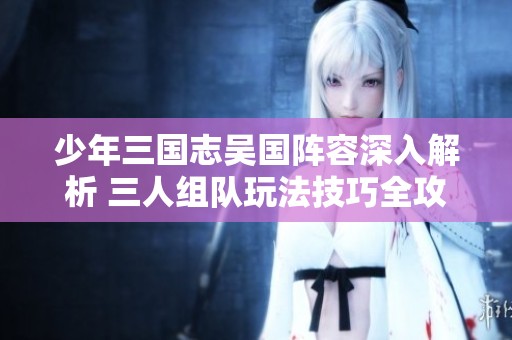 少年三国志吴国阵容深入解析 三人组队玩法技巧全攻略分享