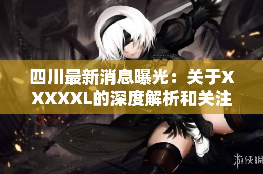 四川最新消息曝光：关于XXXXXL的深度解析和关注事项
