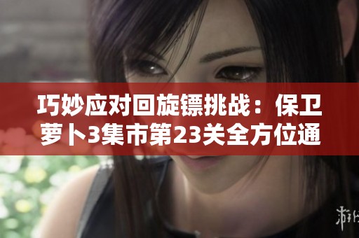 巧妙应对回旋镖挑战：保卫萝卜3集市第23关全方位通关攻略分享