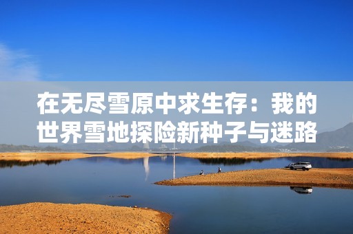 在无尽雪原中求生存：我的世界雪地探险新种子与迷路攻略分享