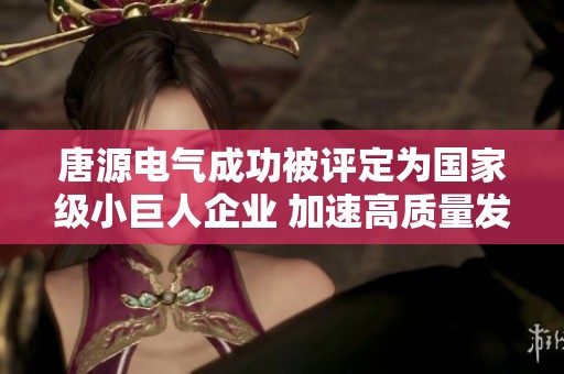 唐源电气成功被评定为国家级小巨人企业 加速高质量发展进程