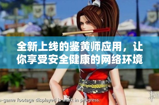 全新上线的鉴黄师应用，让你享受安全健康的网络环境