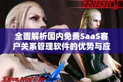 全面解析国内免费SaaS客户关系管理软件的优势与应用