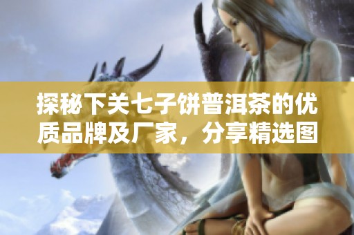 探秘下关七子饼普洱茶的优质品牌及厂家，分享精选图片与热销信息