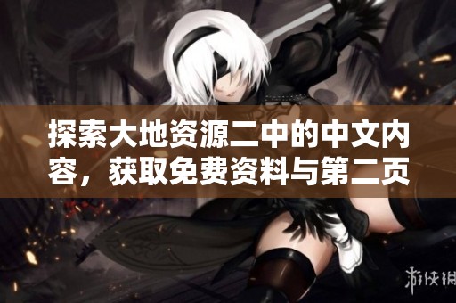 探索大地资源二中的中文内容，获取免费资料与第二页学习资料