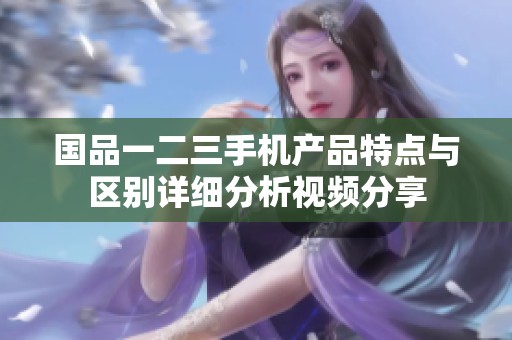 国品一二三手机产品特点与区别详细分析视频分享
