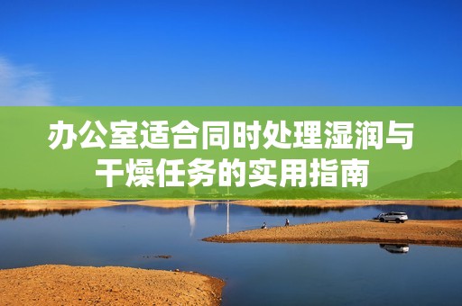 办公室适合同时处理湿润与干燥任务的实用指南