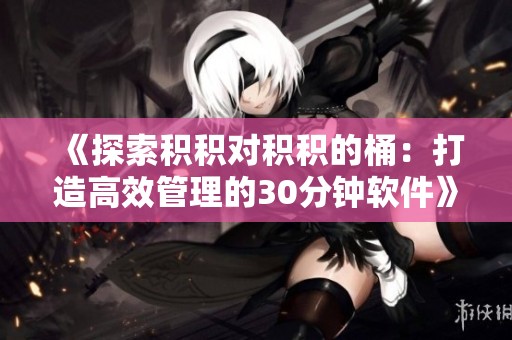 《探索积积对积积的桶：打造高效管理的30分钟软件》