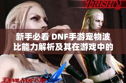 新手必看 DNF手游宠物波比能力解析及其在游戏中的实用性分析
