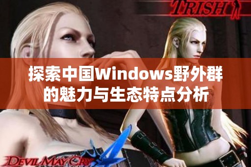 探索中国Windows野外群的魅力与生态特点分析