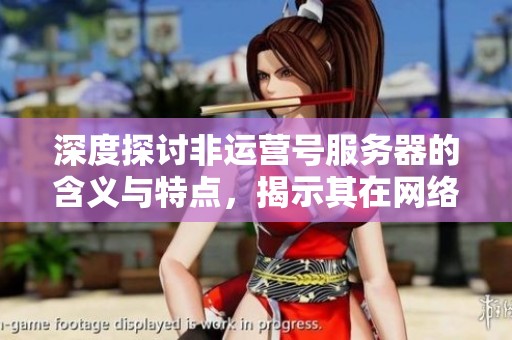 深度探讨非运营号服务器的含义与特点，揭示其在网络环境中的重要性与应用价值