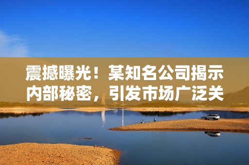 震撼曝光！某知名公司揭示内部秘密，引发市场广泛关注与热议