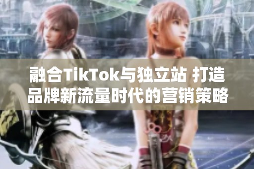 融合TikTok与独立站 打造品牌新流量时代的营销策略