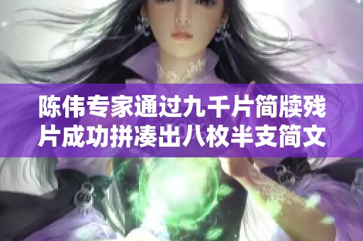 陈伟专家通过九千片简牍残片成功拼凑出八枚半支简文的研究探索
