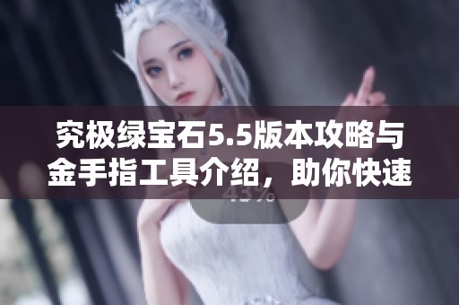究极绿宝石5.5版本攻略与金手指工具介绍，助你快速捕捉宝可梦的秘籍分享