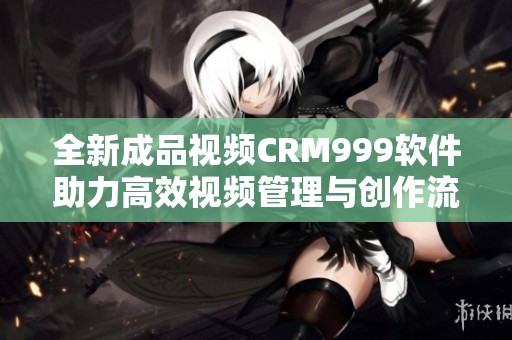 全新成品视频CRM999软件助力高效视频管理与创作流程优化