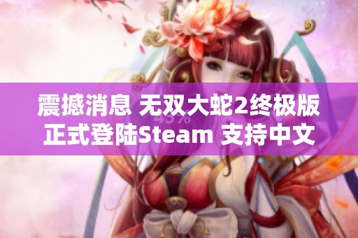 震撼消息 无双大蛇2终极版正式登陆Steam 支持中文体验畅玩整装待发