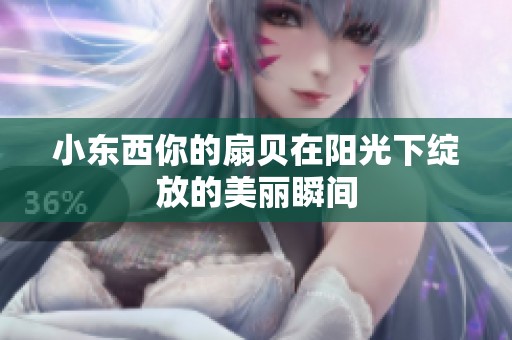 小东西你的扇贝在阳光下绽放的美丽瞬间