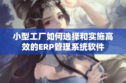 小型工厂如何选择和实施高效的ERP管理系统软件