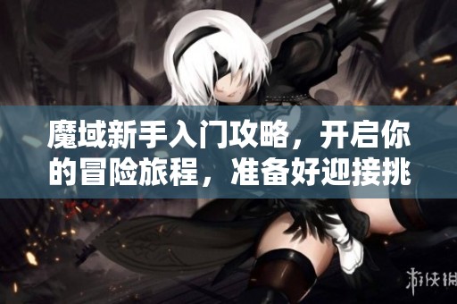 魔域新手入门攻略，开启你的冒险旅程，准备好迎接挑战了吗