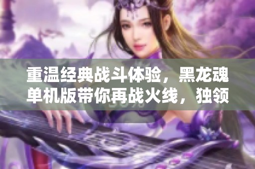 重温经典战斗体验，黑龙魂单机版带你再战火线，独领江湖风骚！