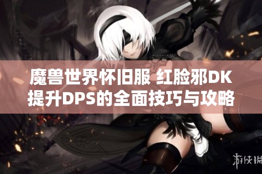 魔兽世界怀旧服 红脸邪DK提升DPS的全面技巧与攻略分享