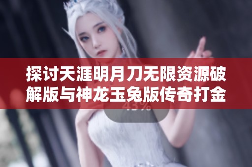 探讨天涯明月刀无限资源破解版与神龙玉兔版传奇打金服的优劣势与体验差异