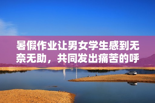 暑假作业让男女学生感到无奈无助，共同发出痛苦的呼喊