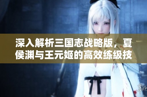 深入解析三国志战略版，夏侯渊与王元姬的高效练级技巧与国家队组建策略