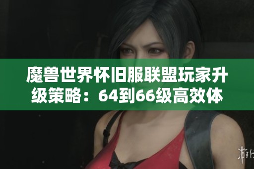 魔兽世界怀旧服联盟玩家升级策略：64到66级高效体验路线详细规划指南