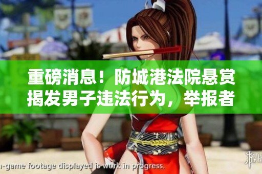 重磅消息！防城港法院悬赏揭发男子违法行为，举报者可获丰厚奖励