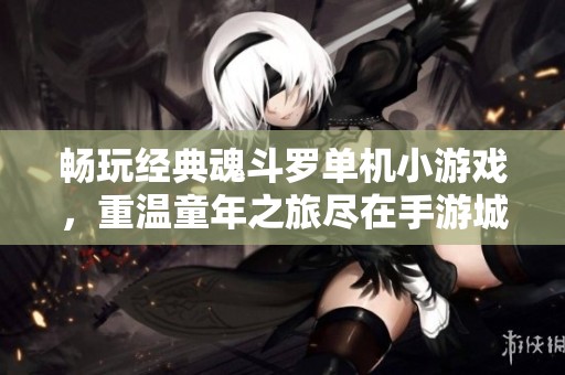 畅玩经典魂斗罗单机小游戏，重温童年之旅尽在手游城，让你感受无尽的战斗乐趣！