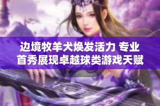 边境牧羊犬焕发活力 专业首秀展现卓越球类游戏天赋与灵动表现