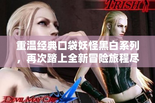 重温经典口袋妖怪黑白系列，再次踏上全新冒险旅程尽享乐趣与挑战
