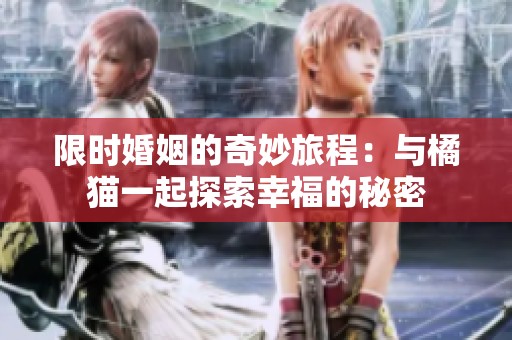限时婚姻的奇妙旅程：与橘猫一起探索幸福的秘密