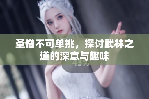 圣僧不可单挑，探讨武林之道的深意与趣味