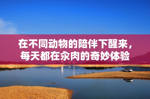 在不同动物的陪伴下醒来，每天都在汆肉的奇妙体验
