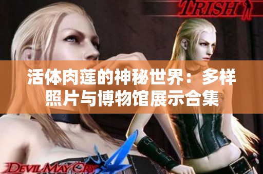活体肉莲的神秘世界：多样照片与博物馆展示合集