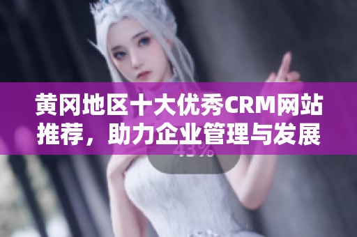 黄冈地区十大优秀CRM网站推荐，助力企业管理与发展